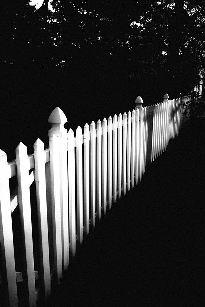 Sam Stone BW fence