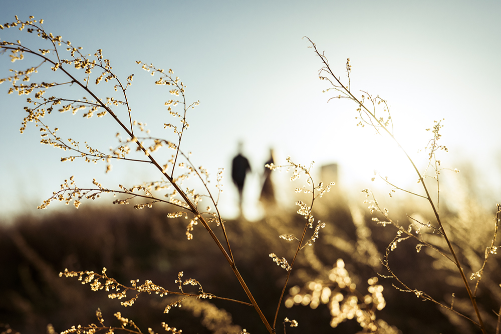 Gabriela Herman photo of a couple out of focus and plants in the foreground