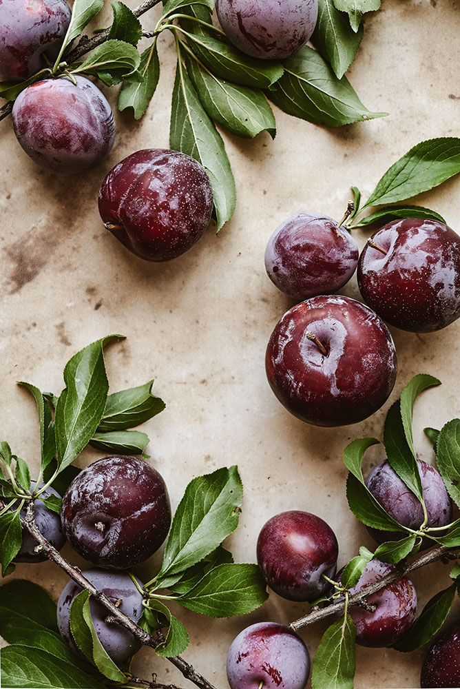 Bella Karragiannidis photo of plums just picked from the tree