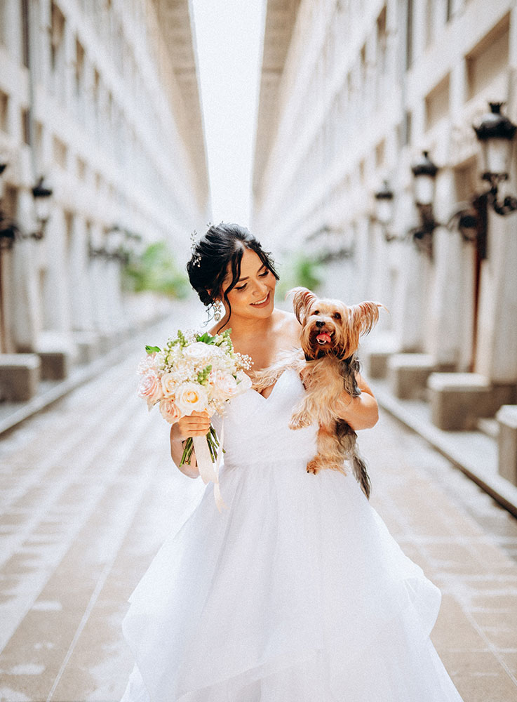 Robert Vasquez high-key photo of a bride in a street holding a small dog