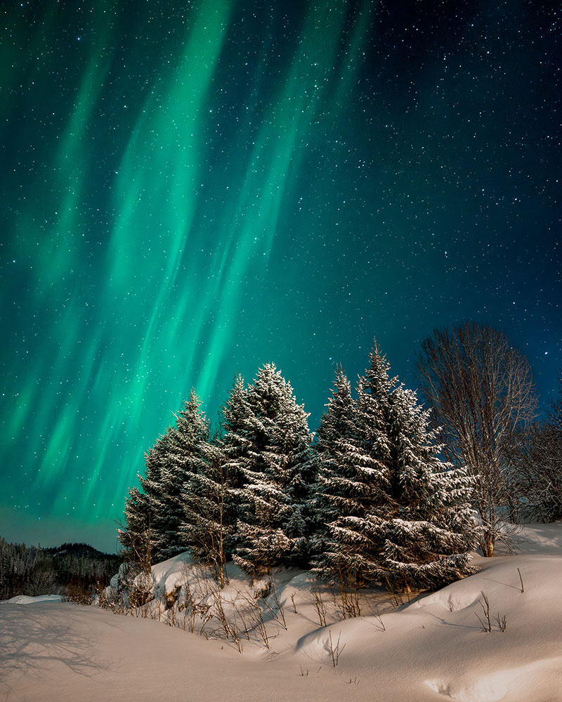 Britttany Kunkel photo of trees in snow under the Northern Lights