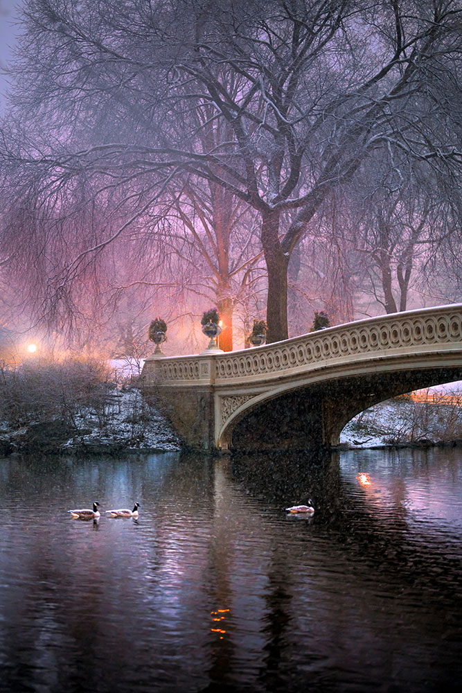 Brittany Kunkel photo of a bridge in Central Park, during a snowstorm, colored with soft tones