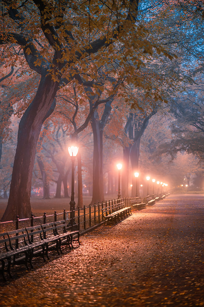 Brittany Kunkel photo of a path in Central Park lit by streetlamps in low light