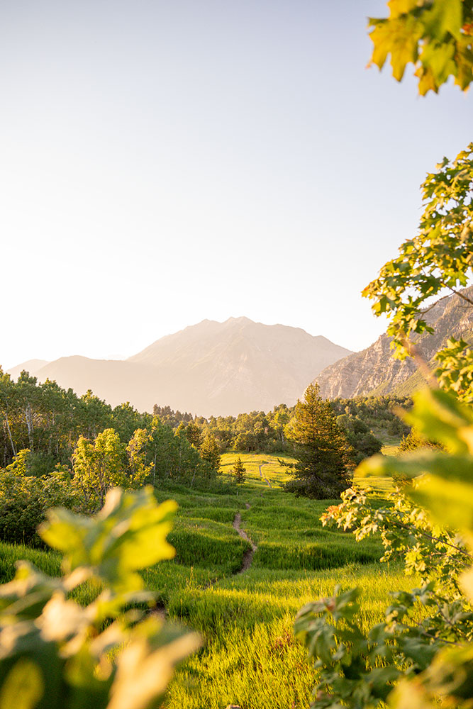 Madi Clark photo of a landscape framed by foliage