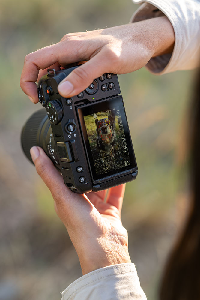 photo of Madi Clark holding the Z 30 in her hands with her dog on the LCD