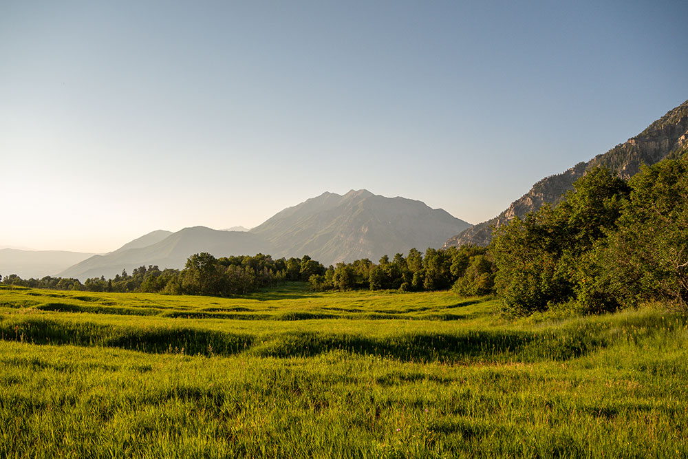 Madi Clark photo of a wide landscape with mountains in the background, taken with the Nikon Z 30.