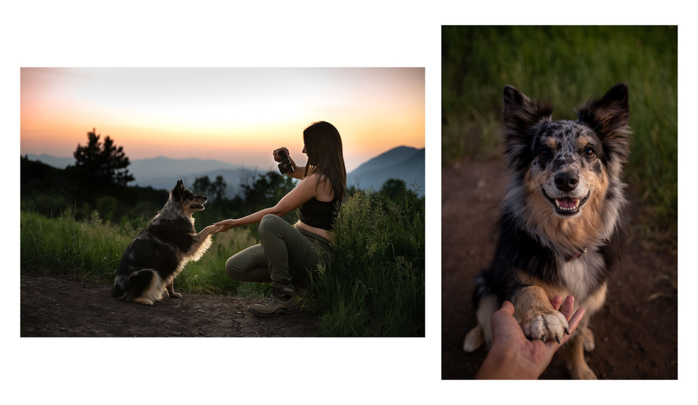 Photo of Madi Clark photographing her dog and a photo of her dog holding her hand